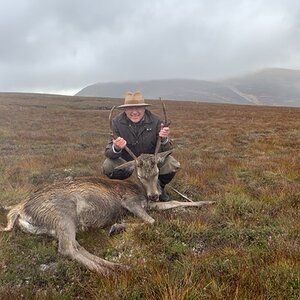 Hunt Red Stag in Scotland