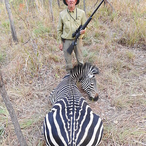 Burchell's Plain Zebra Hunting Tanzania