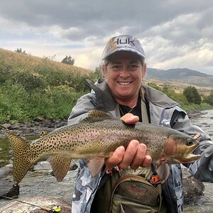 Montana USA Fly Fishing Rainbow Trout