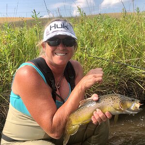 Montana USA Fly Fishing Brown Trout