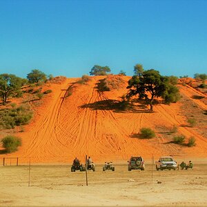 Kgalagadi National Park South Africa