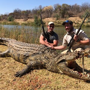 Hunting Crocodile Zimbabwe