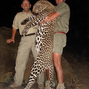 Hunt Leopard in Tanzania