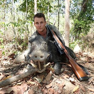 Australia Hunt Boar