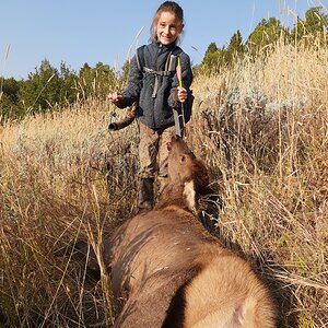 USA Bow Hunting Elk