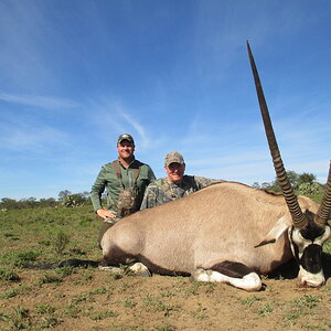 Gemsbok Hunt South Africa