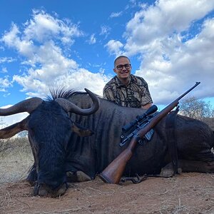 Hunt Blue Wildebeest in South Africa