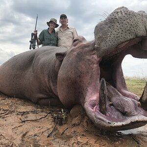 Zimbabwe Hunting Hippo