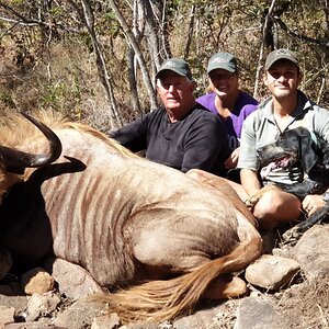 Hunt Golden Wildebeest in South Africa