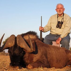 Hunt Black Wildebeest in South Africa