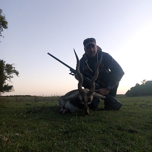 Hunt Blackbuck in Argentina