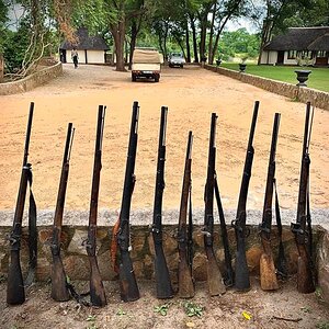 Poaching Guns confiscated Zambia