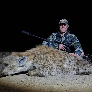 Hunting Spotted Hyena in South Africa