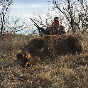 Eurasian Boar Hunt Texas USA