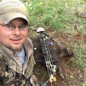 Bow Hunt Boar in Texas USA