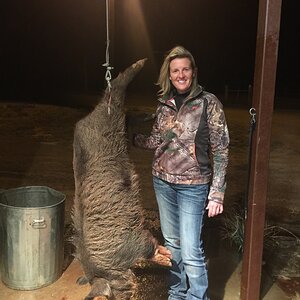 Hunting Boar in Texas USA