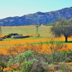 West Coast and Namaqualand Tour South Africa