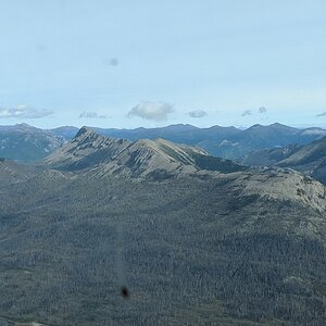 Canada Northern British Columbia Goat & Moose Hunt