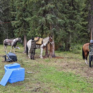 Canada Northern British Columbia Goat & Moose Hunt