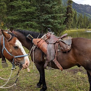 Canada Northern British Columbia Goat & Moose Hunt