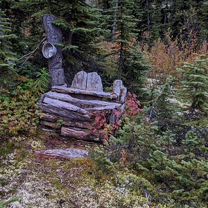 Canada Northern British Columbia Goat & Moose Hunt