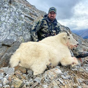 Northern British Columbia Canada Hunt Mountain Goat