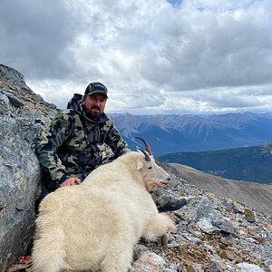 Mountain Goat Hunting Northern British Columbia Canada