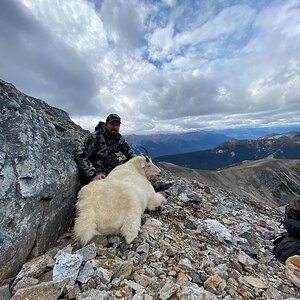 Hunt Mountain Goat in Northern British Columbia Canada