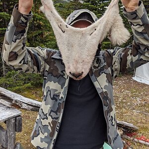 Canada Northern British Columbia Goat & Moose Hunt