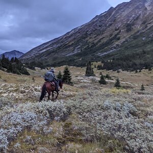 Canada Northern British Columbia Goat & Moose Hunt