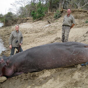 Hippo Hunting Zambia