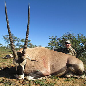 Hunt Gemsbok in South Africa