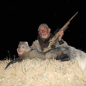 South Africa Hunting White Tailed Mongoose