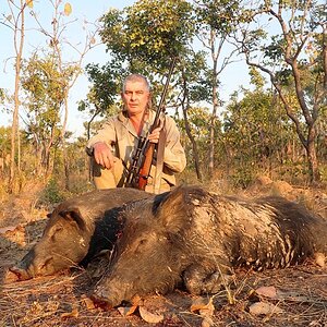 Hunt Boar in Australia