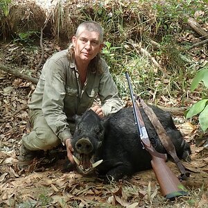Australia Hunting Boar