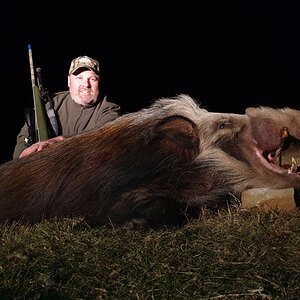 Hunting Bushpig in South Africa