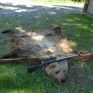 Hunting Bear in Alaska USA