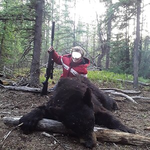 Bear Hunt Alaska USA