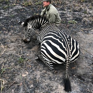 Hunting Crawshay's Zebra in Tanzania