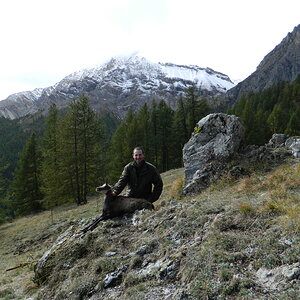 Hunting Chamois Italy