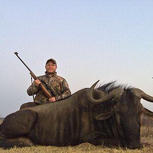 Blue Wildebeest Hunt South Africa