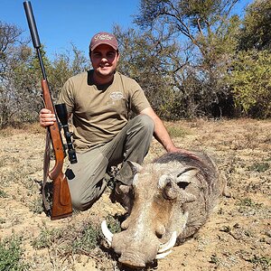 South Africa Hunt Warthog