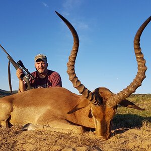 Impala Hunt South Africa