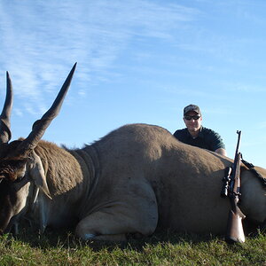 Eland Hunt South Africa