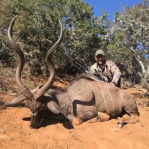 South Africa Hunting Kudu