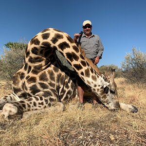 Hunting Giraffe in Namibia