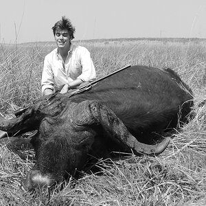 Cape Buffalo Hunt Namibia