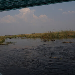 Namibia Hunting