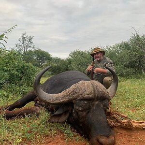 Hunting Buffalo in South Africa