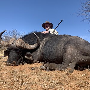 Cape Buffalo Hunt South Africa